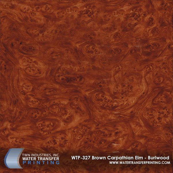 WTP-327 Brown Carpathian Elm - Burlwood