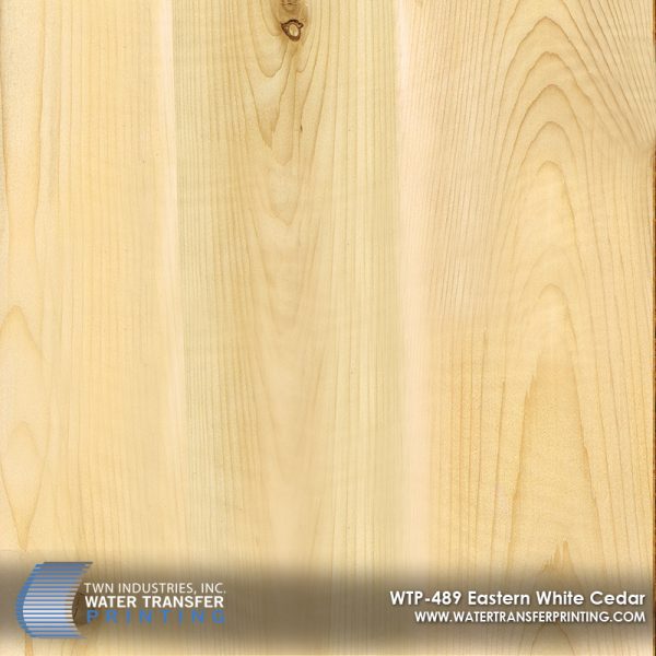 WTP-489 Eastern White Cedar