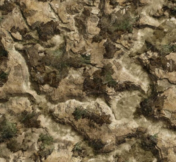 BayouTerra