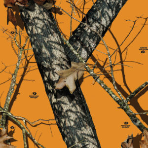 Mossy Oak Blaze