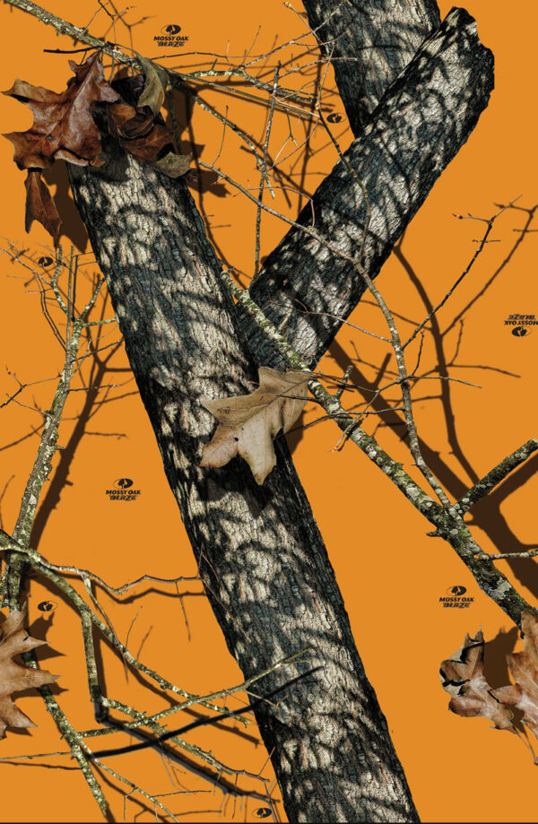Mossy Oak Blaze