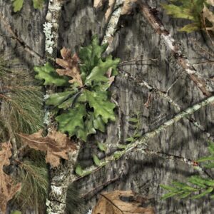 Obsession NWTF