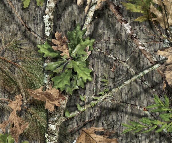 Obsession NWTF