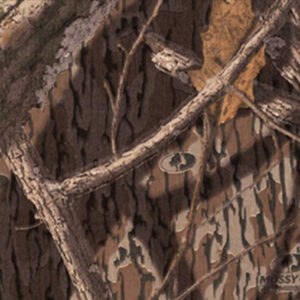 Shadow branch